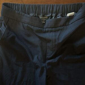 Banana Republic Midnight Blue Trousers